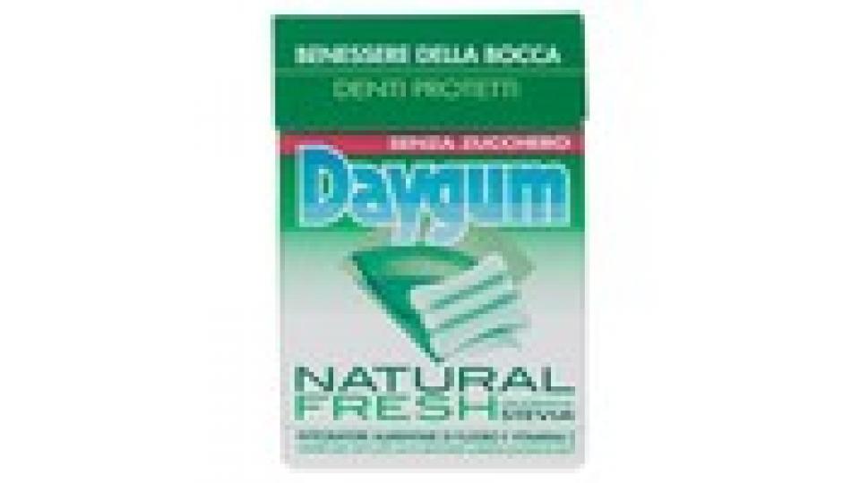 Daygum Natural Fresh 2 x