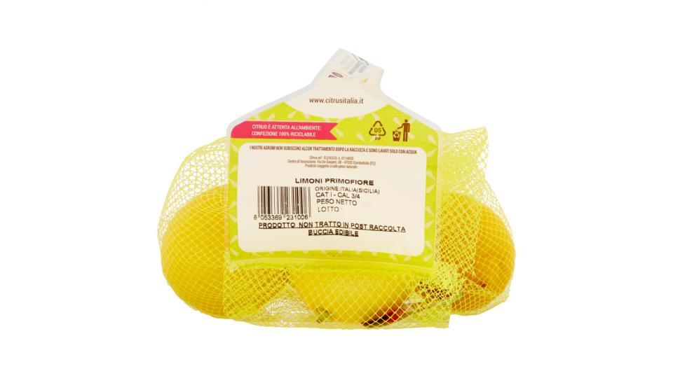 Citrus l'orto italiano limone primofiore