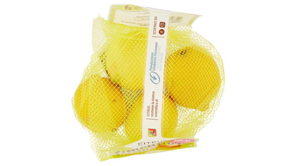 Citrus l'orto italiano limone primofiore