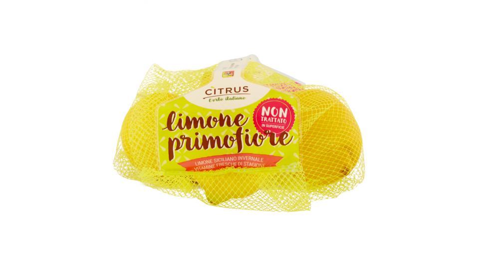 Citrus l'orto italiano limone primofiore