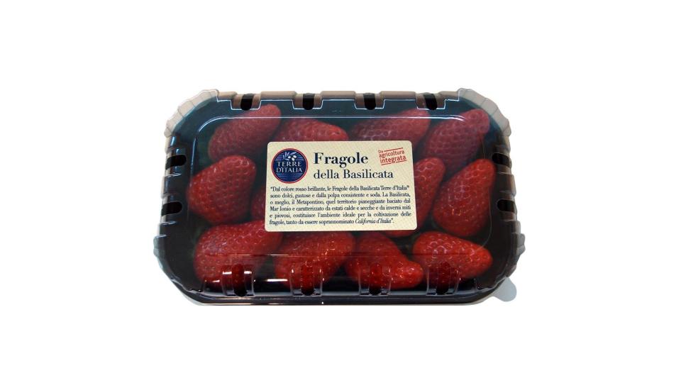 FRAGOLE CANDONGA