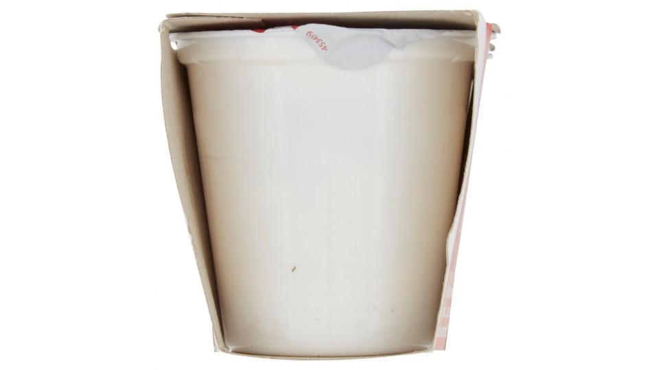 Yogurt Intero Bianco Naturale
