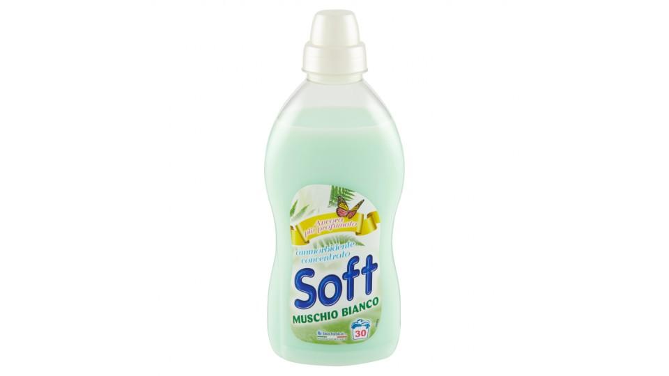 Soft Ammorbidente Concentrato Classic Blue