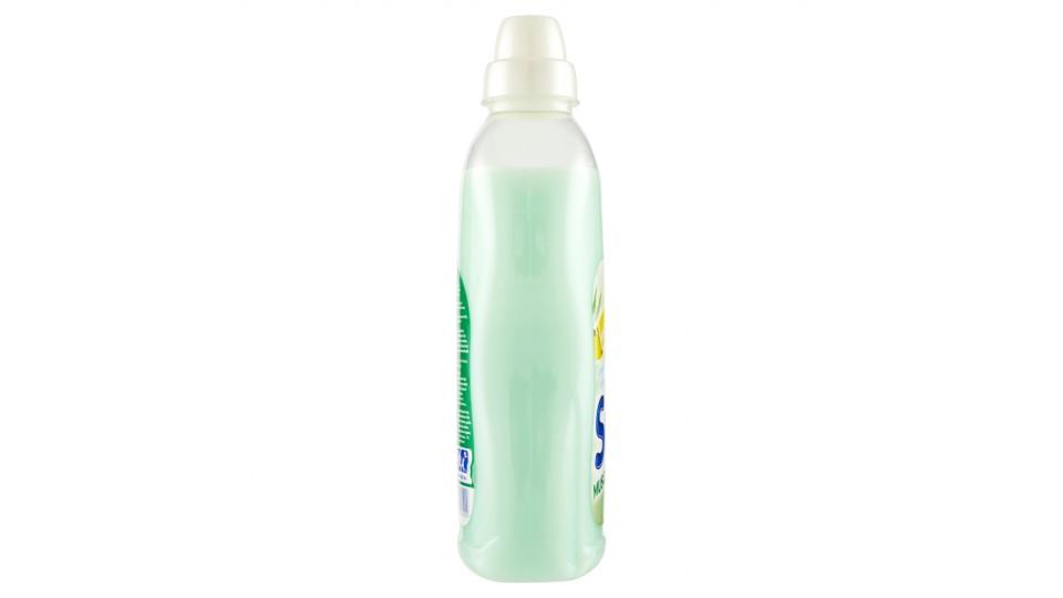 Soft Ammorbidente Concentrato Classic Blue