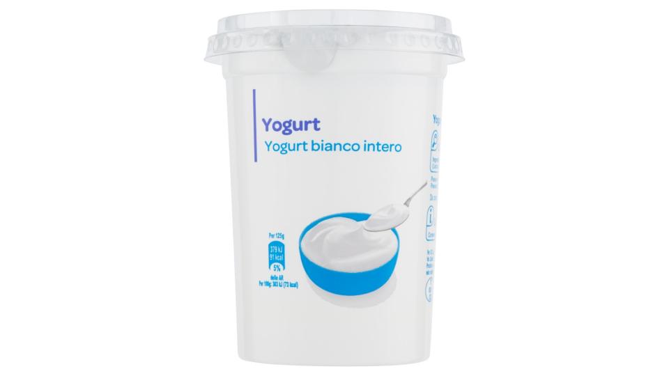 Yogurt bianco intero