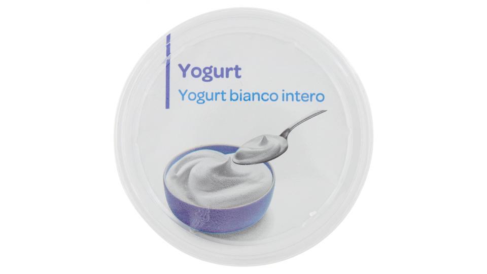Yogurt bianco intero