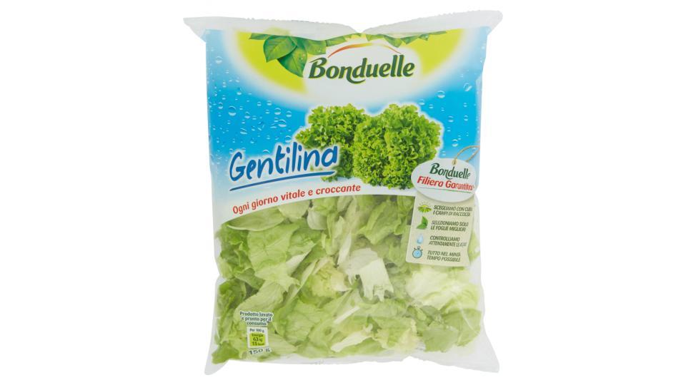 Bonduelle Gentilina