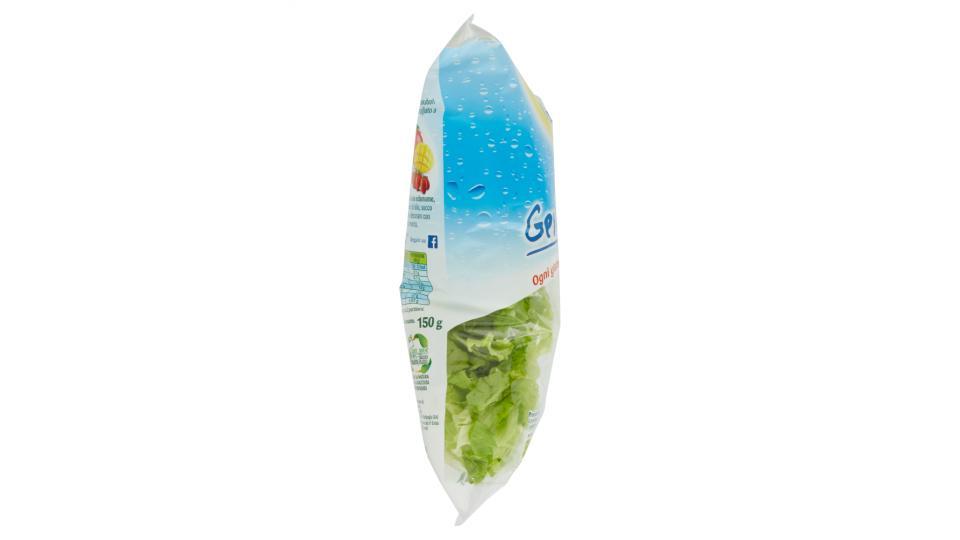 Bonduelle Gentilina