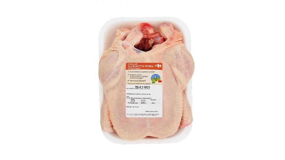 Pollo A Busto A Metà 1250 G Ca