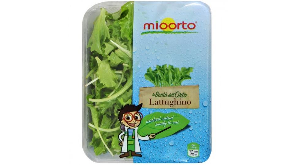 Mioorto lattughino vaschetta gr.