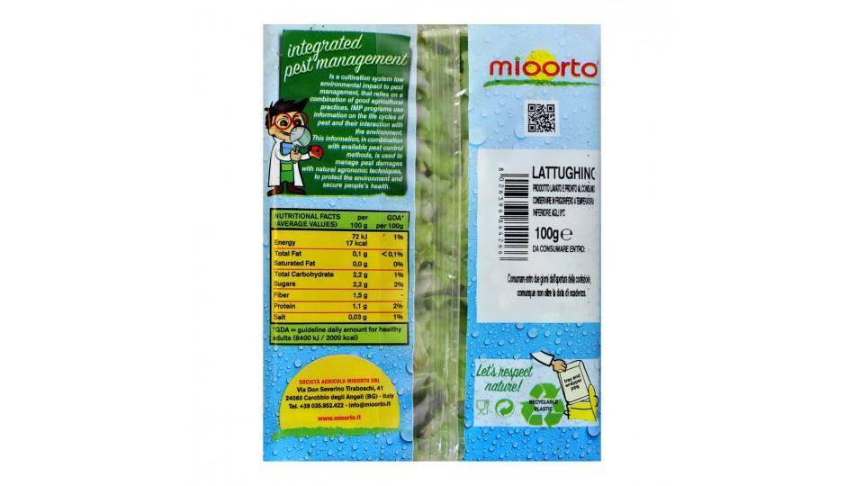 Mioorto lattughino vaschetta gr.