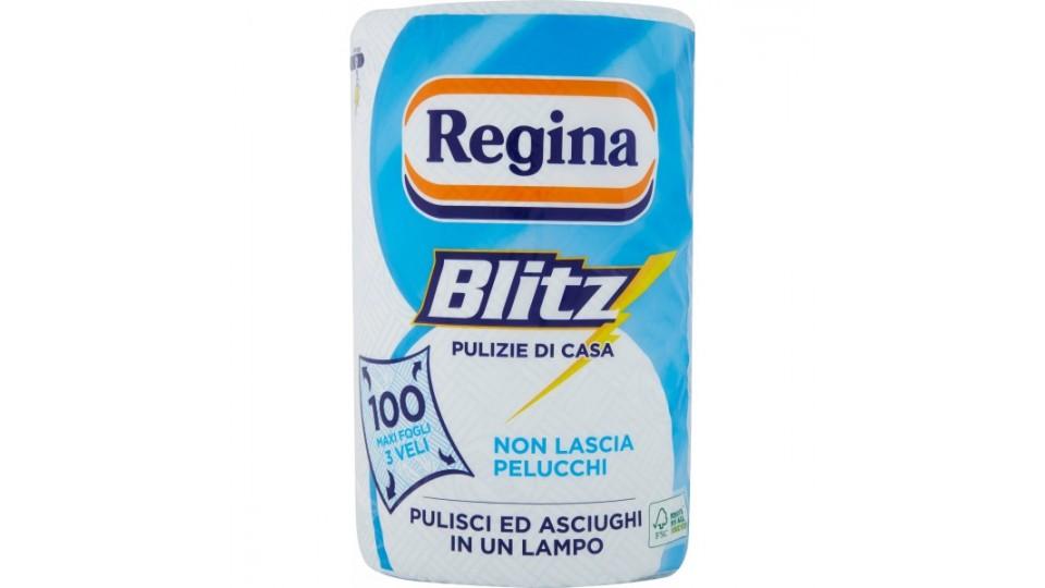 Regina blitz rotolone vetro e superfici lucide