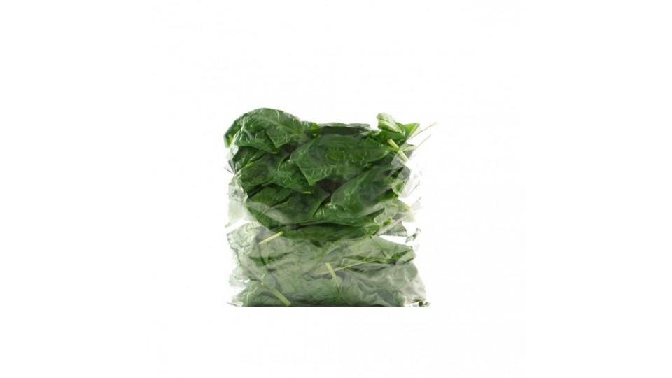 spinaci busta