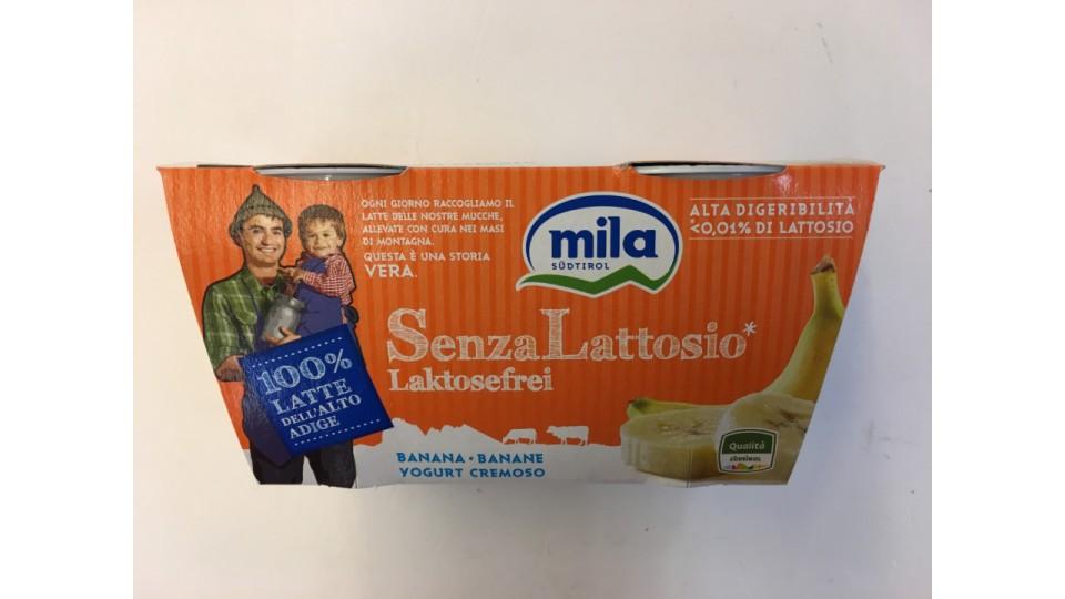 Mila yogurt s/l banana x