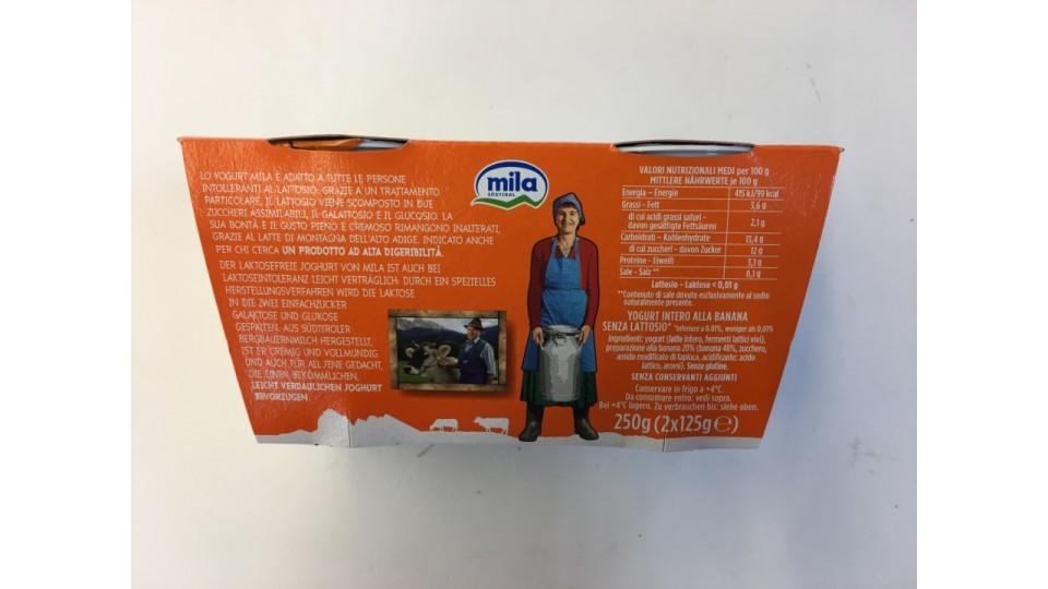 Mila yogurt s/l banana x