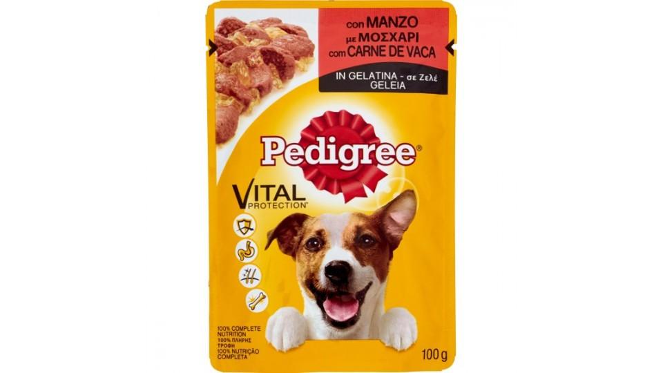 Pedigree Vital Protection con Manzo in Gelatina