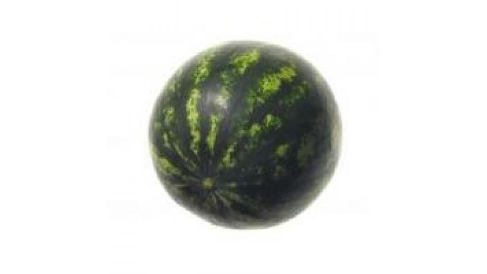 Anguria Midi Nera