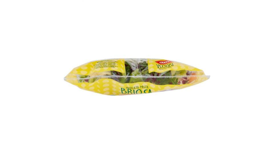 Insalata Mista Briosa