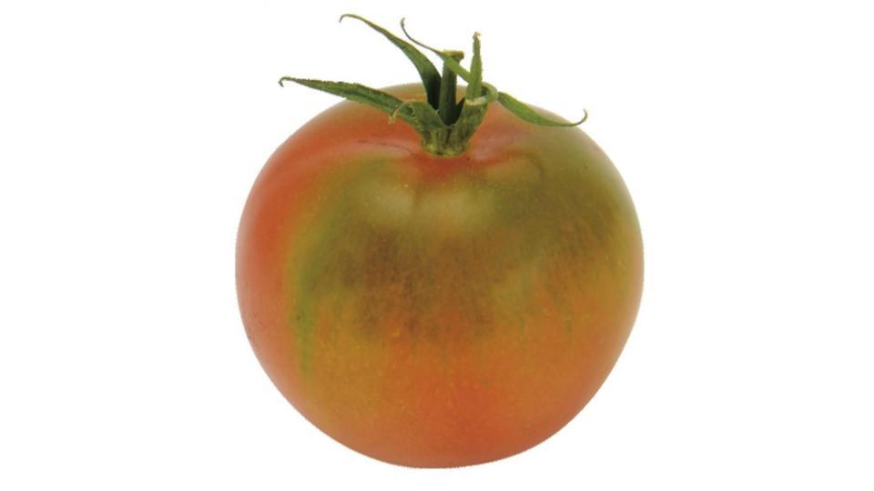 Pomodori Tondo Da Insalata