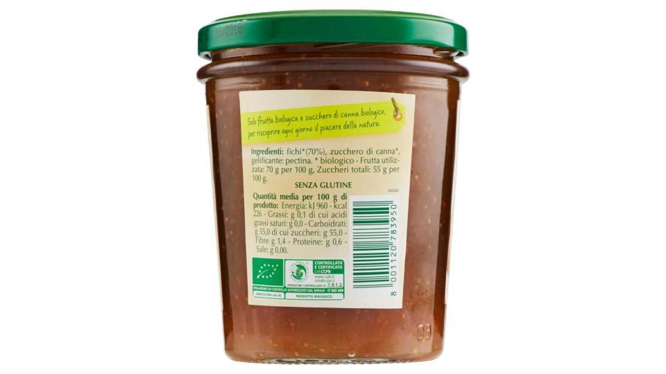 Biffi Ketchup biologico