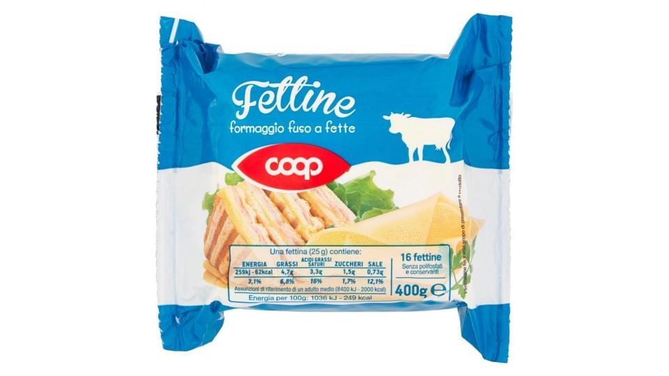 Fettine Formaggio Fuso A Fette 16 Fettine