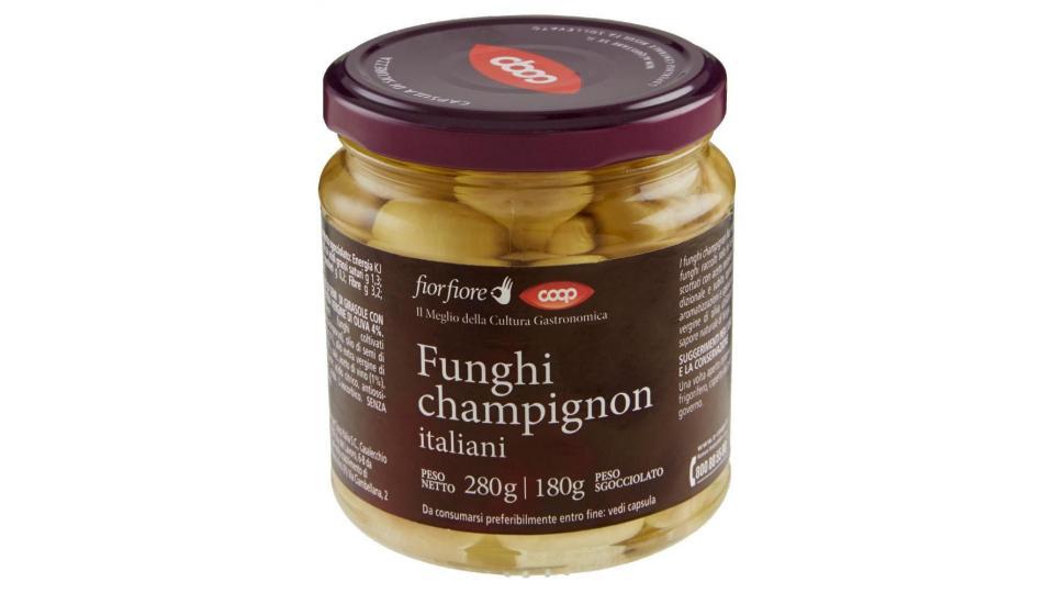 Citres funghi champignon