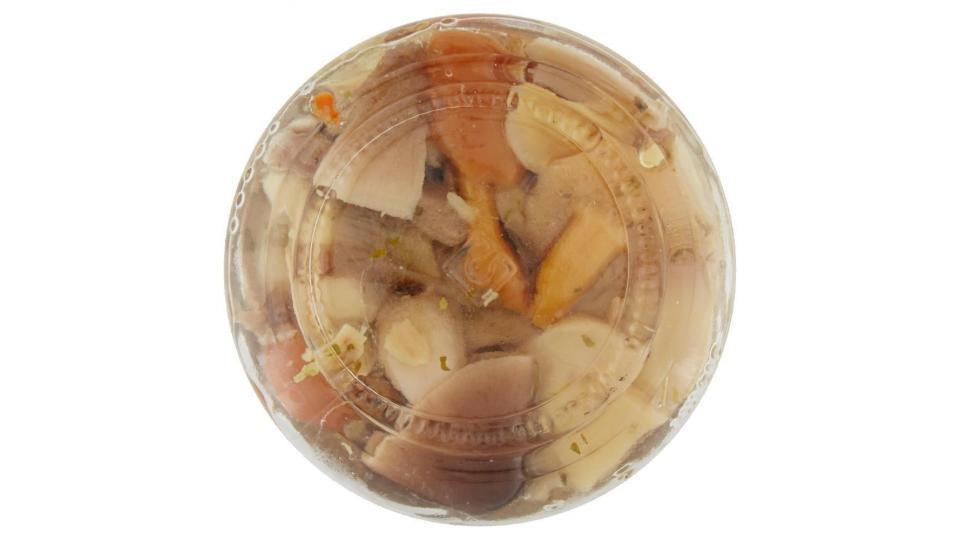 Valtaro misto funghi