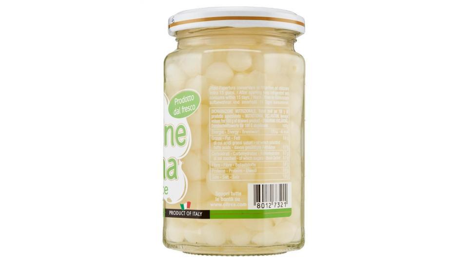 Citres Cipolline Perlina In Agrodolce