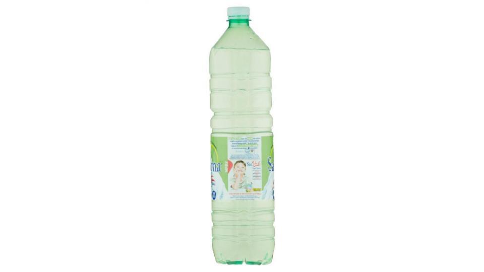 Sant'anna Naturale Sorgente Rebruant Bio Bottle