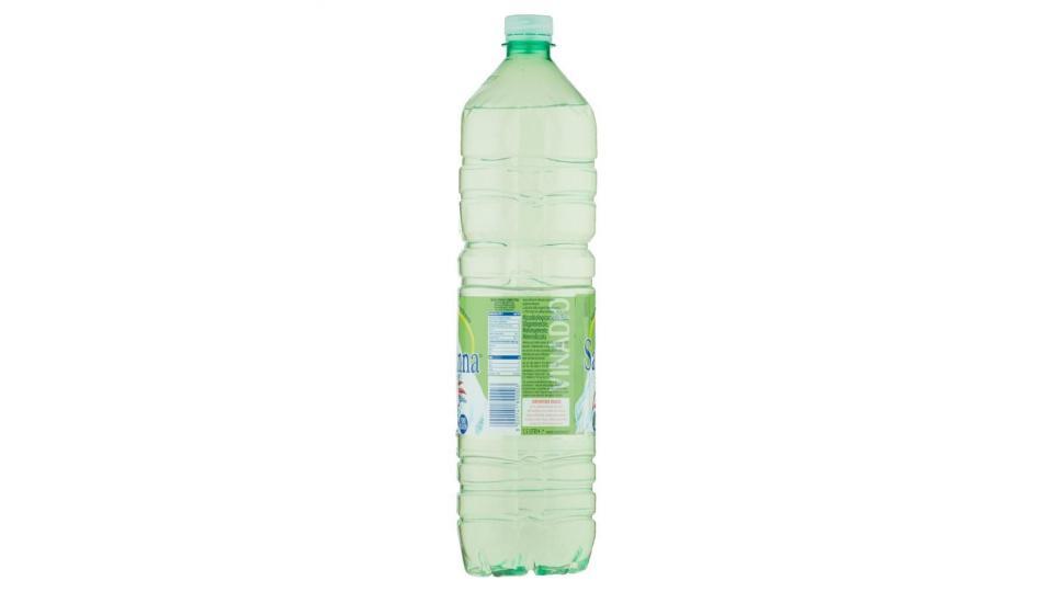 Sant'anna Naturale Sorgente Rebruant Bio Bottle