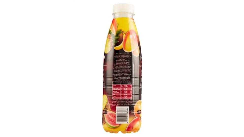 Spremuta Di Frutta 100% Tropicale Costa Rica, Brasile