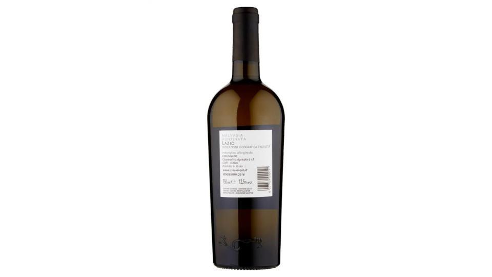 San Tommaso Malvasia Puntinata Lazio Igp
