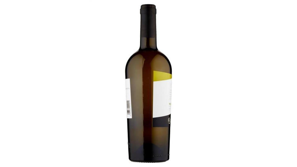 San Tommaso Malvasia Puntinata Lazio Igp