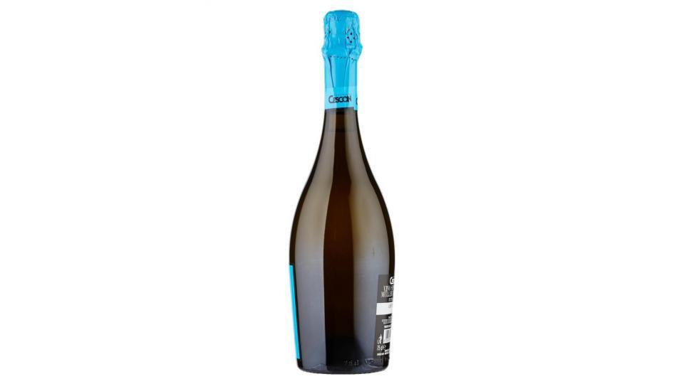 Professor Cescon Müller Thurgau Extra Dry