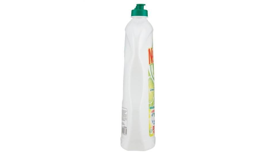 Nelsen Limone 900