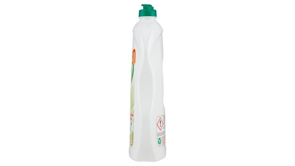 Nelsen Limone 900