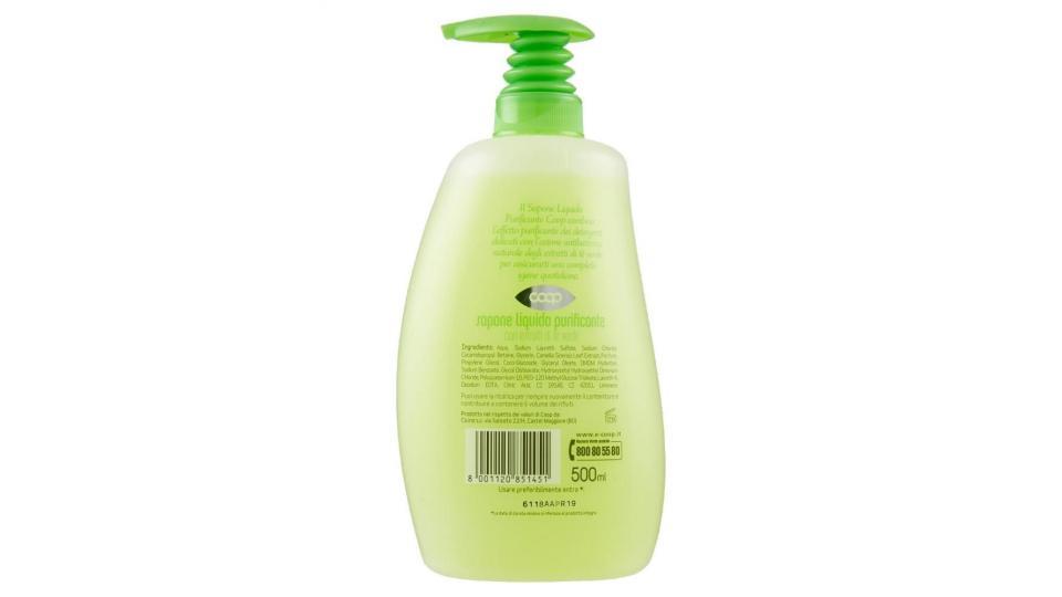 Sapone Liquido Purificante