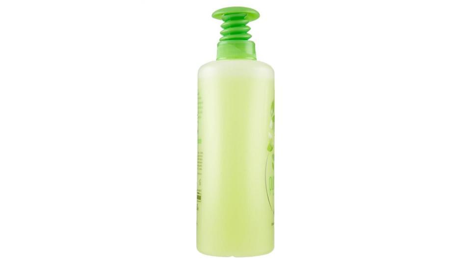 Sapone Liquido Purificante