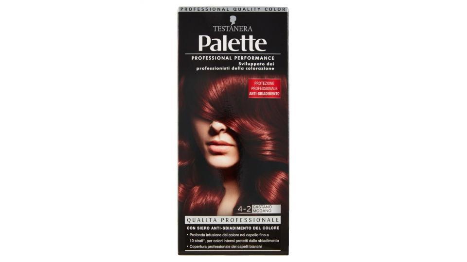 Palette 4-2 Castano Mogano