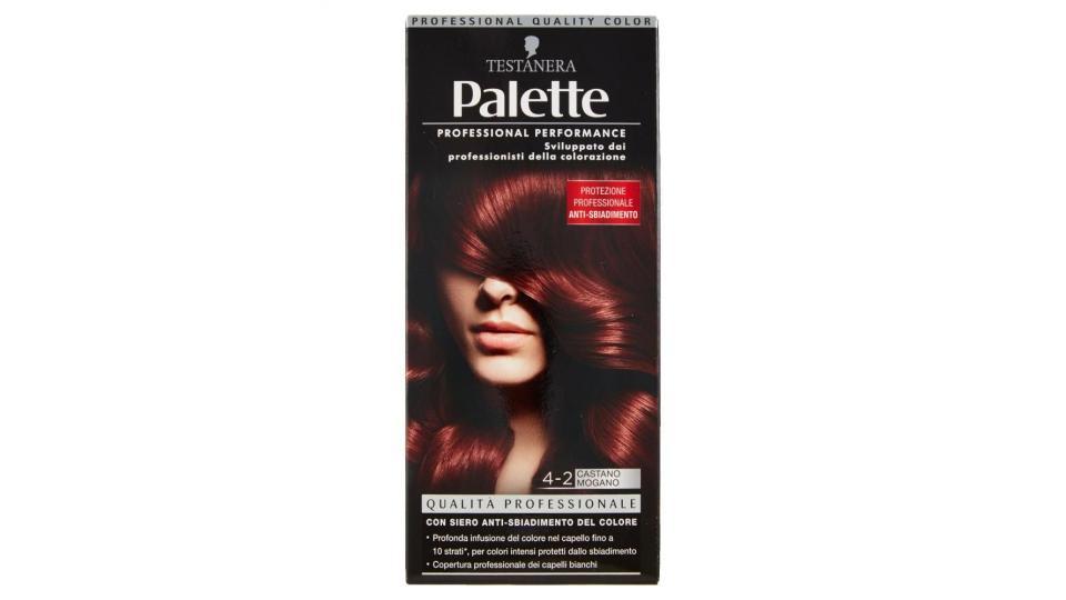 Palette 4-2 Castano Mogano