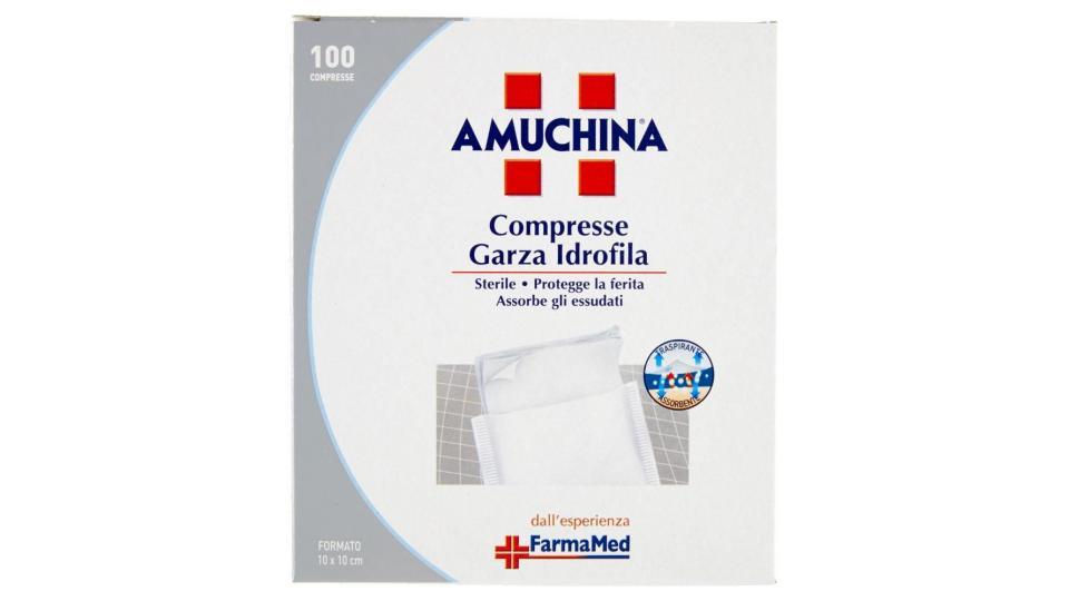 Amuchina Compresse Garza Idrofila 100 Compresse Formato