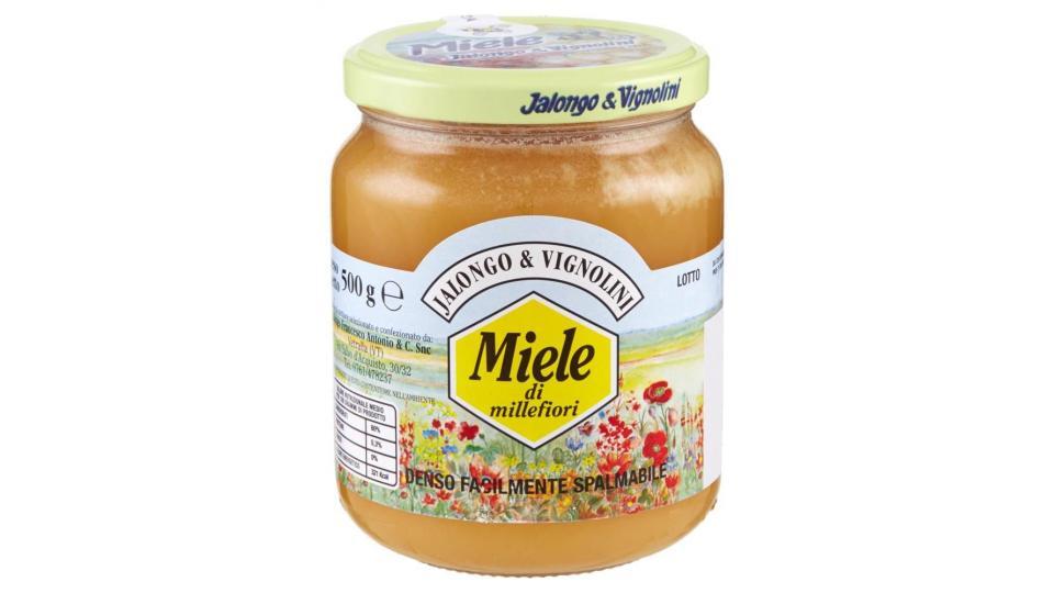 Jalongo & Vignolini Miele Di Millefiori Denso