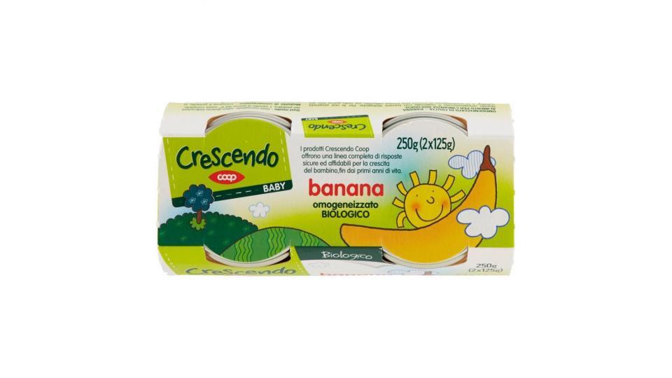 Banana Omogeneizzato Biologico