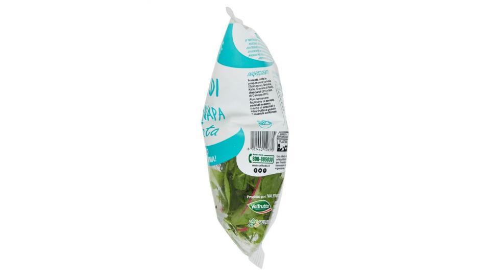Valfrutta Linea Benessere Anacardi & Semi Di Canapa In Insalata