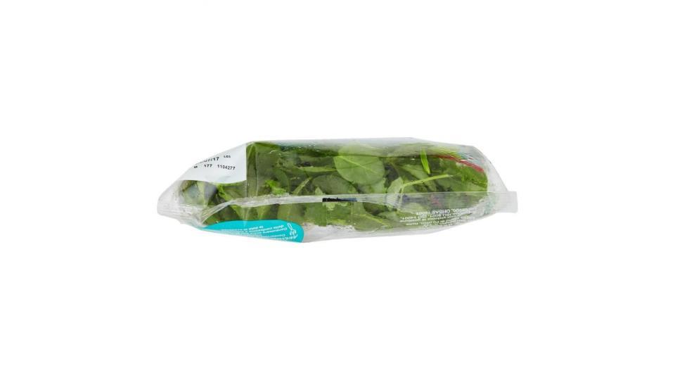 Valfrutta Linea Benessere Anacardi & Semi Di Canapa In Insalata