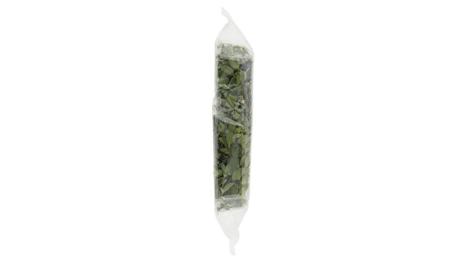 Sipo Sapori Del Mio Orto Maggiorana