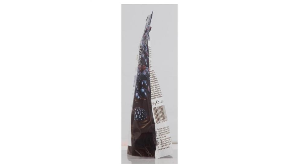 Zàini Choco & Fruit Con Açaí Ribes Nero E Mora