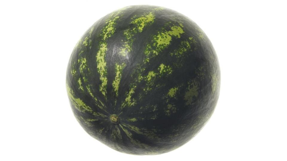 Cocomero