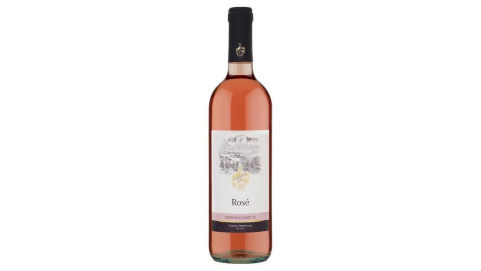 Cantina Produttori Bolzano Rosé Vigneti Delle Dolomiti Igt