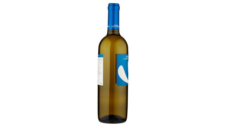 Cantina Valtidone Viti&vini Ortrugo Dei Colli Piacentini D.o.c.